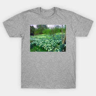 I wandered lonely as a cloud ... T-Shirt